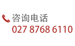 咨詢(xún)電話(huà) 027-87686110